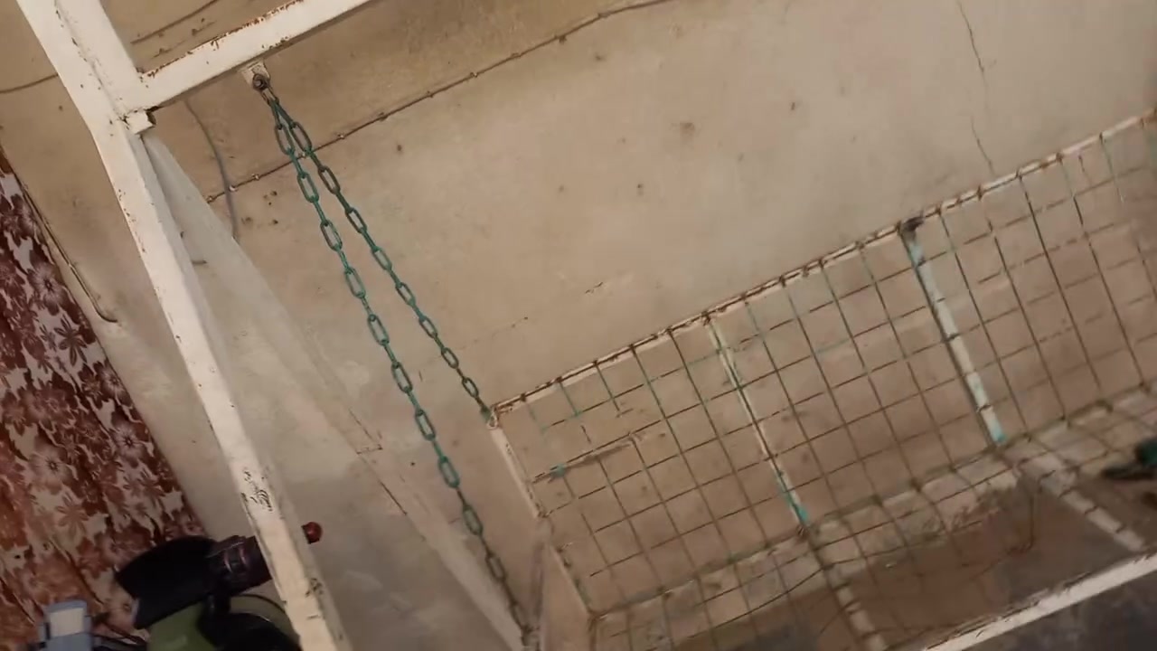 ألسلام عليكم مرجوحه معروضه للبيع مثل ما واضحه كدامكم حجم كبير الطول مترتين وارتفاع مترين تقريبآ السعر 150 وبيه مجال بسيط حك الجيه العنوان بصره خسمه ميل ***********
