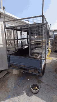 سلام عليكم
محجر ابو القمارة  ستوتة جمرة  تفصال ثقيل 
3بيبان  من 3  مخارج 
سقف بلايود رفوف بلايود 
محجر نضيف كلش اي نقص بي
قبل شهرين مفصلة 
سعر . 400 وبي مجال 
ستفسار .  ***********
