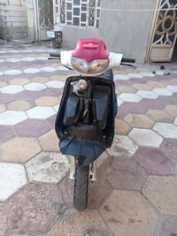 فراشة • نضيفه • نجف
