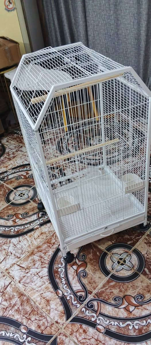 رجع توفر بس هالمره بااللون 🤍
جمااال 
قياس متر 
الي موصيني تعذروني مااتذكركم 🤦🤦
على اول تم 85🍏🌹


**إذا كنت صاحب هذا الإعلان وتريد حذفه لأي سبب، رجاءا أرسل رسالة إلى الدعم الفني**