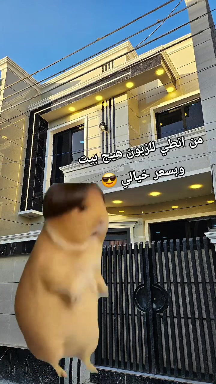 ***********
