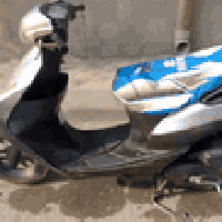 ساسوكي • مكينة بلاد • الابله