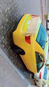 ٢٠١٣ • وارد امريكي • ضربة باب