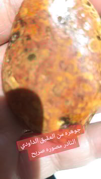 عقيق داودي • دموي • مصور