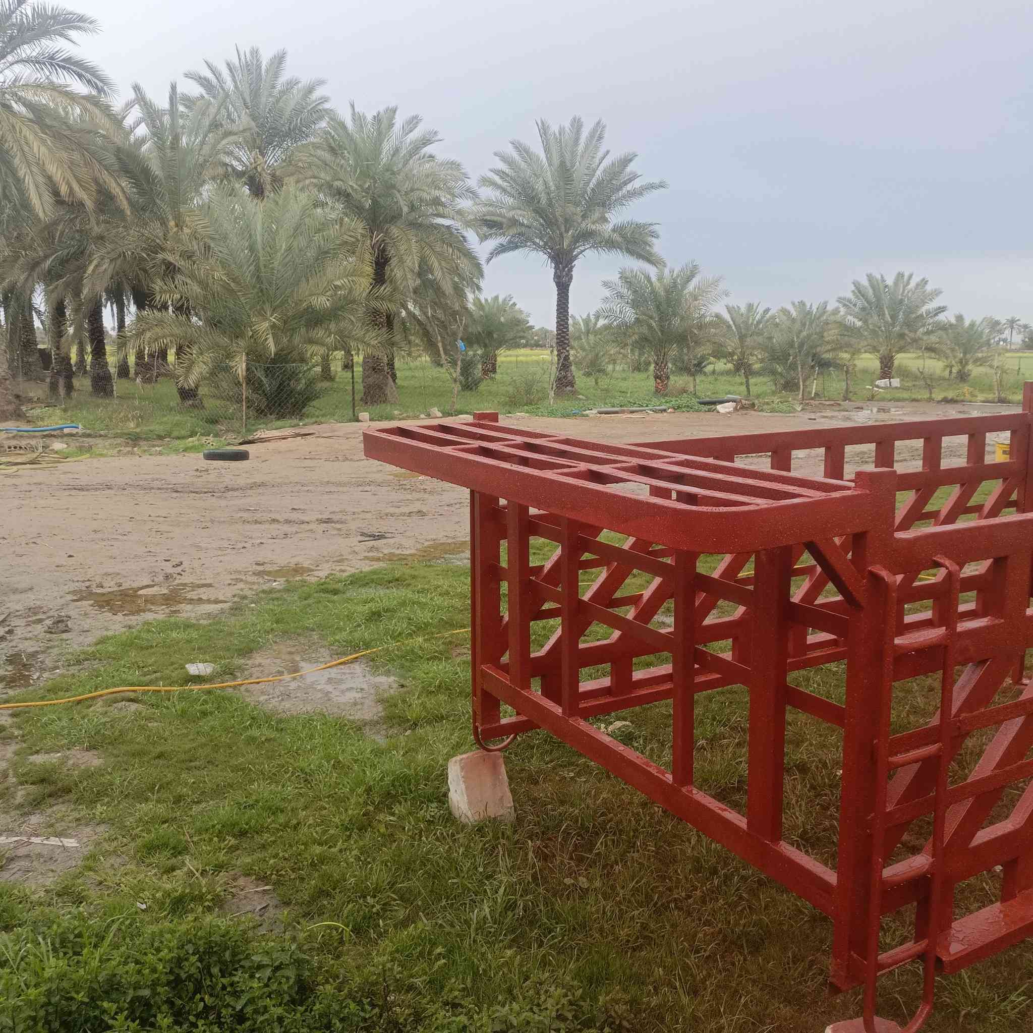 سلام عليكم محجر فحل للبيع تزكام درجه اولى ملم ونص مكان النجف ابو صخير استفسار ***********
