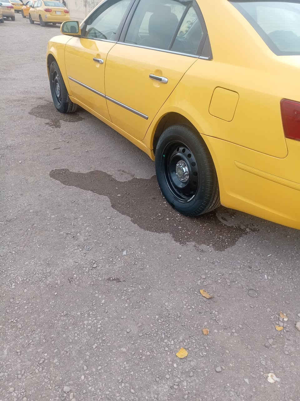 *********** ٢٠٠٨
