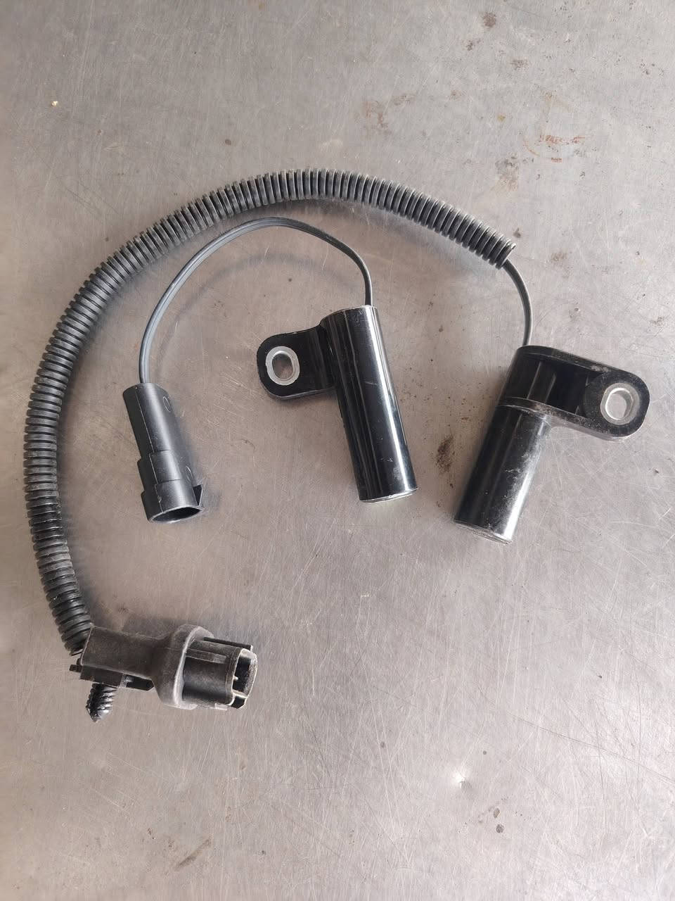 السلام عليكم
متوفره جميع قطع غيار جيب شيروكي جيب لاريدوه جيب نتروه جيب لبرتي
صدر مامي خلفي موجود اصلي تفصيخ موجود جديد
محرك 3700 محرك 8 سلندر وكيرات
العنوان ذي قار حي صناعي بلوك الرابع محلات سعد للتصل ***********
*********** / وتساب
@إشارة
