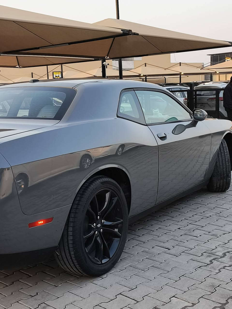 جالنجر 2018 SXT ستة سلندر حادثها جاملغ امامي ب أمريكا بدون ايرباك وبل عراق بيها جاملغ خلفي بدون ايرباك سيارة بيها حالوب خفيف مايبين مكاني كربلاء ب ١٥٥ وبيها مجال للطيبين ***********
