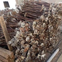 بولطات • طول ١م • الحلة