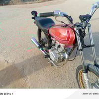 شلامجة 19 • مكينة قوية • كرمة علي