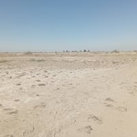 ٤٥ دونم • عقد زراعي • ماء وكهرباء ومجاري