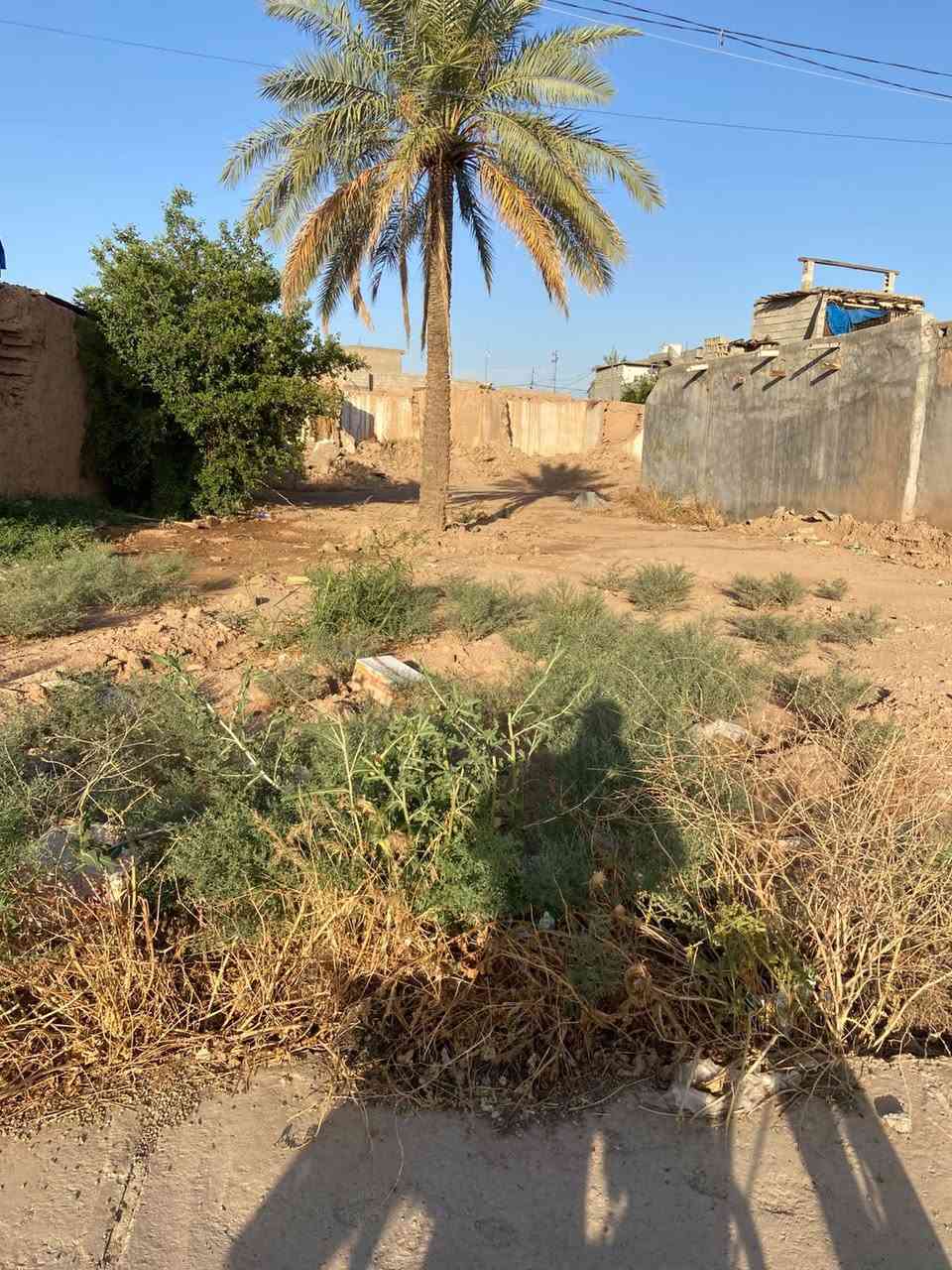 #اعلان
قطعه ارض للبيع مساحة 400متر 

#واجهه 15متر  العمق 27متر شارع صب كهرباء ماء واجهه مفتوح

#الجنس العقار زراعي يتحول طابو 

#العنوان ديالى خانقين حي اركوازي

#السعر 18مليون بي مجال

#اتصال مكتب علي الوندي للعقارات ومقاولات 

***********
