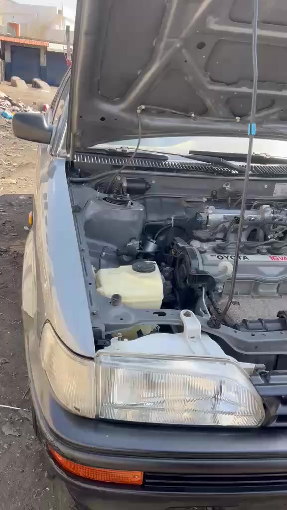 سلاو هاوريان كروله موديل 90مه كينه 16وبه خ بي لي دران بيشو بشتي كه بسه به شه رت جاملخيشي ناكريته وه له سه ده قي بيلاديه بيسبوخه قه تره سبوخي حيراقيو اوروبي نيه كيرو مه كينه و دارو به ردي به شه رت ده حامي لوده حامي به شه رت ره قه م هه ولير اسليه به ناوخويتم سنه وي هه تا ٢٠٣٠نويه كيرومه كينه ي به شه رت سياره كه ٣٨٥هه زاري حه قيقي رويشتوه سياره كه فول حاديه سحري ٥٠وه ره قه و مجاليكي برايانه يه زماره موبايل ***********
