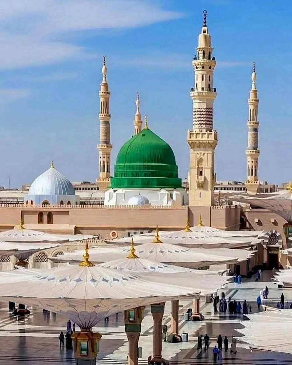 حملة خدام العقيلة ع
تعلن عن رحله العمره الئ بيت الله الحرام 
برنامج العمرة رجب وشعبان بإذن الله تعالى 
عمرتين في رحلة واحدة ومميزه وسعر جدا ممتاز واقتصادي 

📿 بدأنا باستلام الجوازات
🕋 عمرة رجب + عمرة شعبان
💰 السعر: 850 ألف دينار عراقي فقط

⸻⸻⸻⸻ شامل 850 الف دينار عراقي

🗓️ مواعيد الرحلة

• المغادرة: 15 / 1 عصراً بإذن الله تعالى 
• الدخول: 16 / 1 إن شاء الله

⸻⸻⸻⸻

🏨 برنامج الإقامة

🔹 المدينة المنورة:
• ليلتان / 3 أيام
• السكن في فنادق مركزية قريبة من الحرم

🔹 مكة المكرمة:
• 5 ليالٍ / 6 أيام
• السكن في مكة – محبس الجن
_________________*_____________

 الخدمات المشمولة

• ذهاب وعودة براً بباصات حديثة ومريحة
• الإقامة في فنادق ممتازة
• 3 وجبات يومياً (أوبن بوفيه)
• تنظيم كامل ومرافقة طوال الرحلة
مرشد ديني مع المعتمرين
احرامات وكراس المناسك وحقيبه 

🔹  يكون السكن رباعي وخماسي
🔹 إذا غرفة ثنائية يكون فرق 
 
⸻⸻⸻⸻
باشرنا باستلام الجوازات وحجز المقاعد
ويمكن الحجز من جميع محافظاتنا العزيزه
العنوان الشاميه  
للاستفسار والاتصال *********** واتساب
