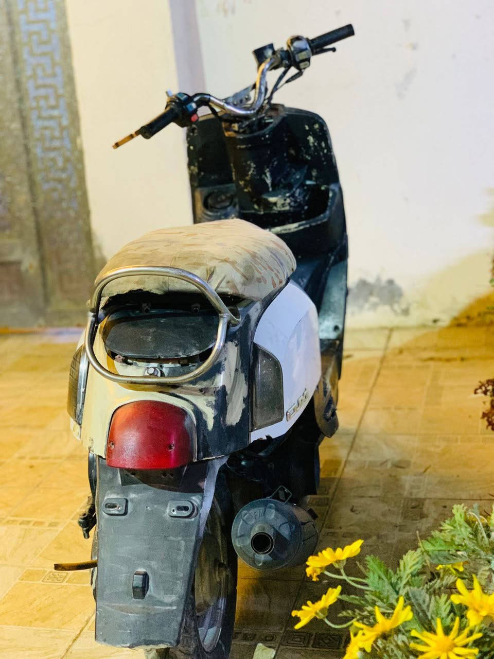 بوليسي شغالة خير من الله 
السعر/250
حله مركز 
***********
