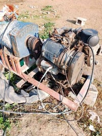 مولد دويز تونسي • ٢٤ • ديالى خان بني سعد