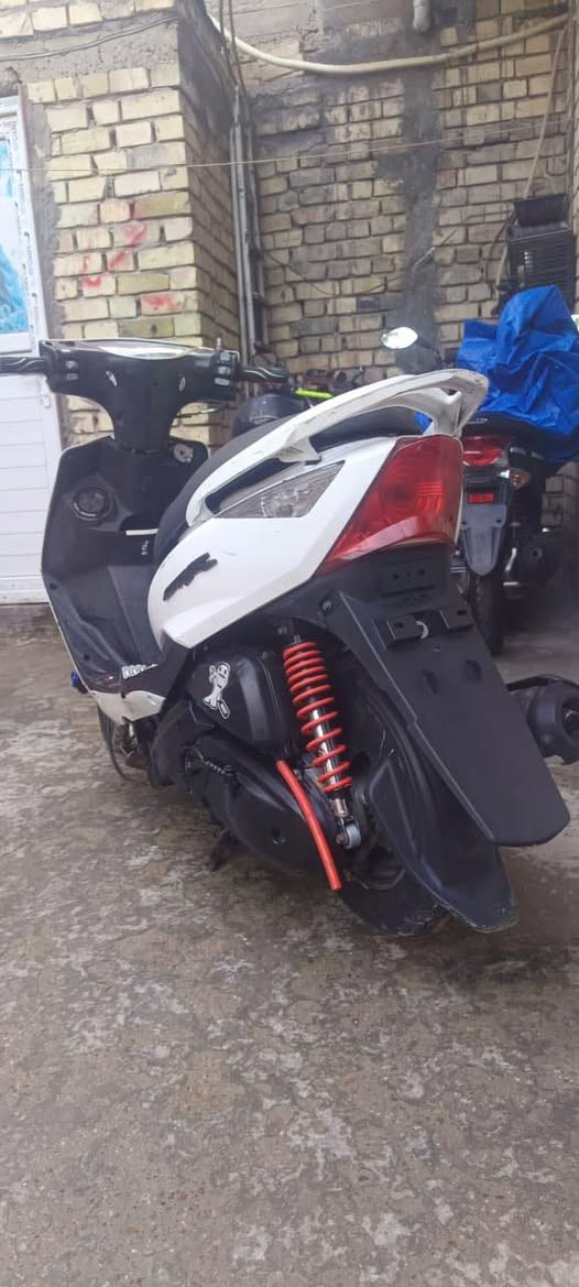 ثعلب للبيع سعر ٣٠٠. ***********
