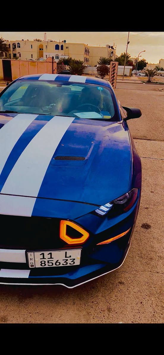 موستنك 2018 وارد أمريكي 
3 قطع صبغ 
سعر 140وبيه مجال 
***********
