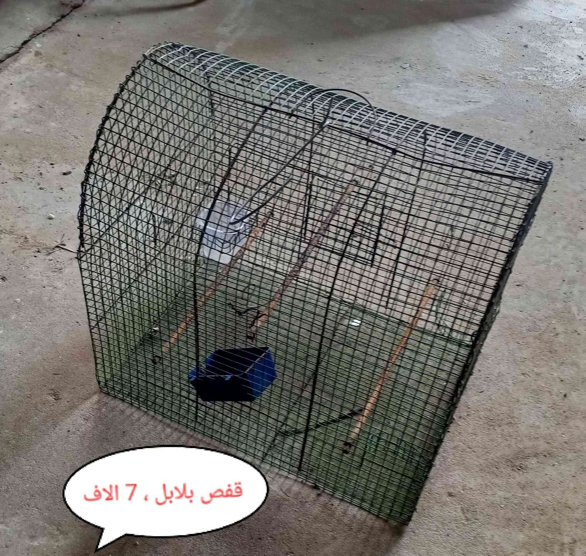 مكانی قره هنجیر و یوجد توصیل 
***********
