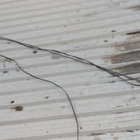 شينكو بليت • سندويج • ٦-٧م