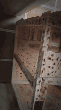 قفص جديد  للبيع السعر ٥٠ للاستفسار /***********
