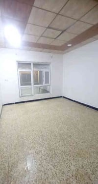 حي الصديق • ١٠٠م • ٦٠م