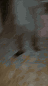 حي الوفاء • ٥٠م • غرفتين