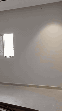 خيارك الأفضل حته يكون بيتك أجمل 💎.            الحسن للأصباغ/***********📞واتساب
***********
مساحتكم بكل ذوق 🔋

ابداع داخلي و صمود خارجي 💎

كادر مختص ب الأصباغ الداخليه 👌🏻

ما عليك بس تتصل و راح تشوفه نتيجه تفرحك 🤍

1-معالجة الرطوبه بحدث المواد 💦

2-طلس وتنعيم جميع الجدران و الأسقف 🫸

3-صبغ الأبواب و الشبابيك الحديد 🎼

4-تنظيف الموقع بعد العمل🏛️

5-معالجة جميع الأسطح بحدث مواد العزل 🏪

6-عمل السحبات الجداريه ⛩️

7-أسعار تنافسبه 💸
