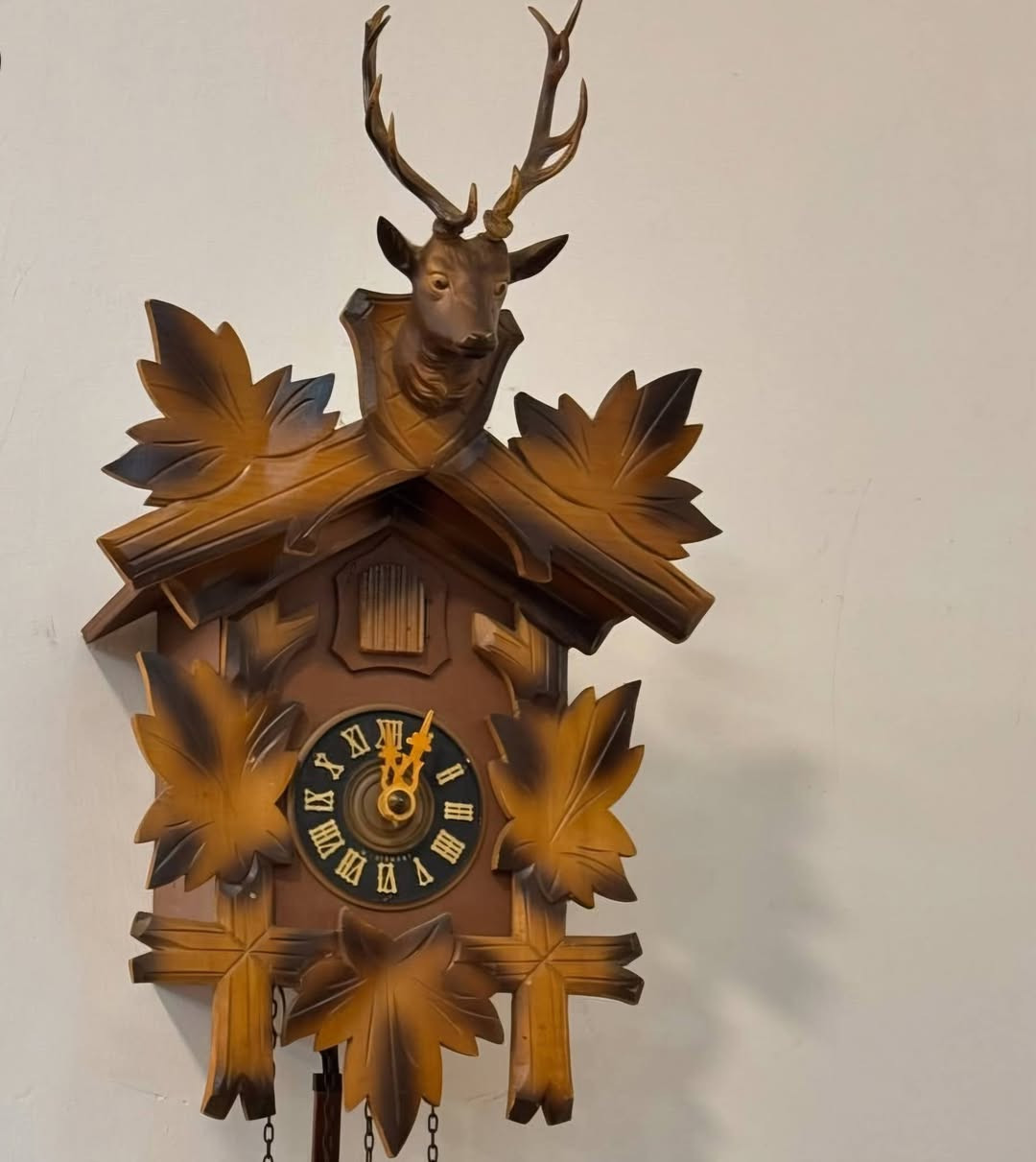 مرحبا ساعة كوكو الالمانية الشهيرة..
دق كل راس ساعة ونص نص، نظيفة جدًا صراحة وتشتغل بشكل ميكانيكي مدى الحياة من دون باتريات وكلش حلوة بس انا منجبرة ابيعها.. 

سعرها ١٥٠ مشتريتها اغلى صراحة بس مستعجلة.


**إذا كنت صاحب هذا الإعلان وتريد حذفه لأي سبب، رجاءا أرسل رسالة إلى الدعم الفني**