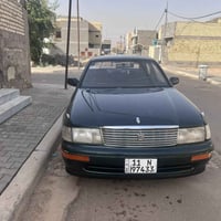 كراون بطه • مكفولة • كربلاء