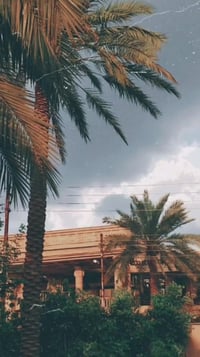 #العامرية  قطعة ارض سكنية للبيــع  في العامرية شارع المضيف   #مســــــ...