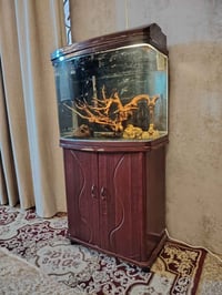 حوض سمك • عرض ٨٠سم • فلترين