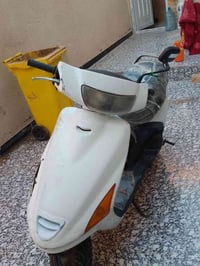 فراشه • فحل • بصرة