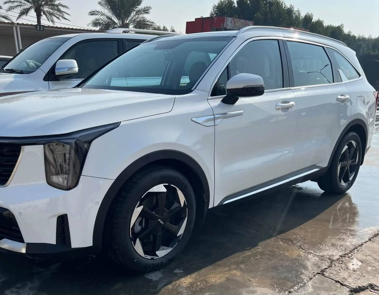 سورنتو 24 خليجي بيها 3 قطع صبغ مع الايرباك 
رقم اربيل 
محرك 6 سلندر
بانوراما 
كير ماوس 
بصمة وتشغيل 
كامرة خلفية دوارة
حساس امامي وخلفي 
كراسي كهرباء
جنطة كهرباء
ويل 19
7 راكب
3 قطع تبريد
انارة داخلية ليزرية
شاشة تعمل بنظام بلي كار
مانع انزلاق
هندبريك دكمه
بردة ابواب خلفية
ماشية33 الف
مكانها الديوانية
***********
