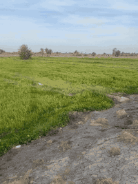 البيع4دونم شاطي مكاني على طريق ممحله ال حناج تفاصيل***********
