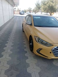 النترا • ٢٠١٧ • وارد أمريكي