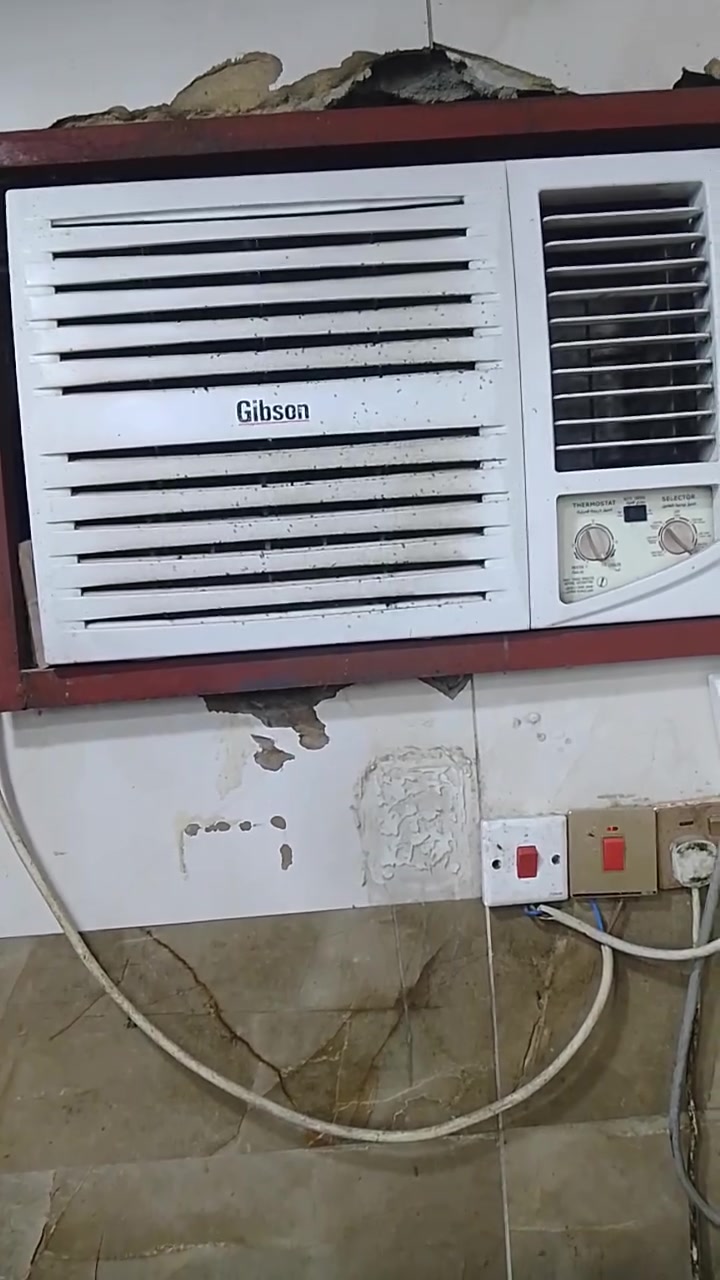 سبالت للبيع سعر 500 طنين اثنيهن ‏‪0780 131 2948‬‏ حي الصمود والتحدي بيه وتساب
