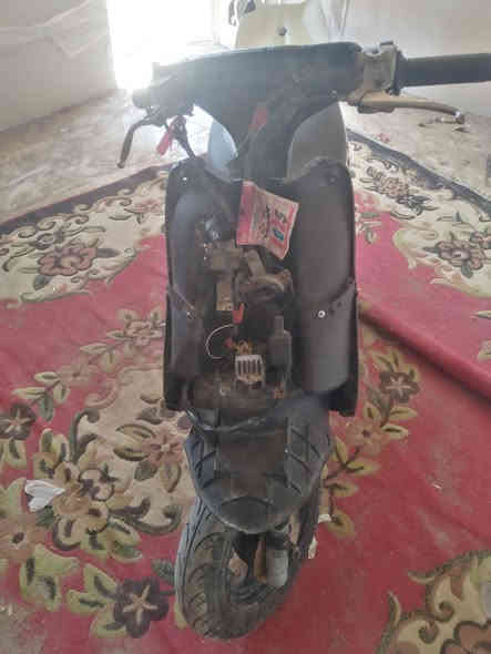 عصفوري للبيع مامفتوحه صوته ناعم سعره ٢٢٥ وبيه مجال عوزه كفر امامي ***********
