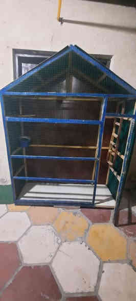 قفص للبيع
موقع حي العسكري قرب دوانيه اعباده

السعر 125 بي مجال

*********** رقم
