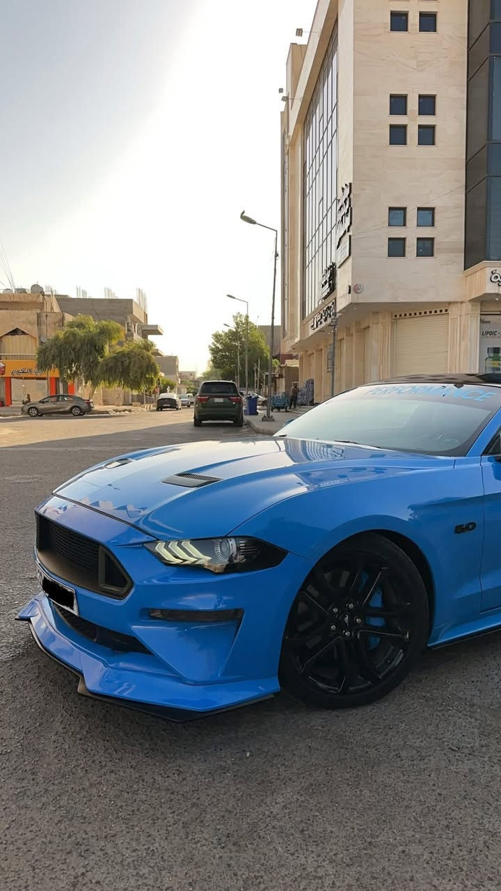 موستنك GT 2022 بريميوم تراك بكج فولل

سلام عليكم فورد موستنك GT 2022 بريميوم فول دجتال اكتف اكزوز اعلى شي يجي بل موستنك 
 
مكينه (8سلندر) 5000cc
كير اوتو (10)نمر

السعر (265ورقه) شدتين و وخمسة وستين ورقه  وبيها مجال بسيط للشراي 
ماشيه(٣٩) كيلو متر وليس ميل

مكان (بغداد-البلديات)
لون (بحري مميز) 
رقم تلفون(***********)

رقم بغداد الجديد فحص هزة جديد وسنويه باسمي تحويل ثاني يوم يعني ما تحير بصوت اكزوز لو وشومات لن هزة جديده

سياره حادثها جاملغ خلفي صبغ  نصه وجنطه تبديل مال  وكالة شرط  حتى دعاميات  وكالة مبدله فقط (فقط نص جاملغ خلفي صبغ بدون تكمه )  يعني ( بجم كبس)  

 وساحب تقرير  كار فاكس مالتها  بفلوس ايضاً ما بيها اي حادث مسبق ب امريكا او غرق الي يحب راسلني واتس ادزهله تقرير

سياره كير مكينه اكسل كاردن صدرها بحالة الوكالة برغي ما مفتوح بيها بجم كبس البراكيته اماميه حتى ضربه مواصلتها 
سياره من دخلت حد الان مسويلها ادامة وصيانه كامله بشركة  فورد القاصد دهن  وفلتر دهن و فلاتر شوته و تبريد كلة وكالة اصلي
 دشبولها ماكو اي كلوب معتلك كله صافي 

نجي على مواصفات فول 1/1
١- تشغيل عن بعد
٢- شاشة كبيرة sync 3 كار بلي
٣-اكتف اكزوز حسب المود تفتح بوابات(نورمال-سبورت-تراك)
٤-فجوج بريمبو 6بستم
٥-عداد ديجتال يتغير ثيم حسب المود
٦-دمام صوت بل صندوك وكالة
٧-تحديد مسار
٨-رادار امامي 
٩-رادار جانبي(نقطة عمياء)
١٠-رادار خلفي 
١١-حساسات خلفيه
١٢-كامرة خلفيه
١٣-كشنات كهرباء(٢) جلد
١٤-كشنات تدفئه وتبريد 
١٥-ستيرن تدفئه هيتر
١٦-خمس وضعيات قياده(نورمال-سبورت-تراك)
١٧-ترحيب بل مرايه
١٨-هيترات بل مرايه
١٩-كشنات خزن ميمور 3وضعيات 
٢٠-سستم سماعات 
٢١-لايت زنون ابيض من وكالة
٢٢-شعار الموستنك ضوئي من الابواب بلادي 
٢٣-شعار موستنك ضوئي متغير بل دوسات بلادي
٢٤-كيجات تراك بكج (اويل برشر) و( فاكيوم) بل دشبول
٢٥-كشنات جلد 

اضافات عليها 
١-هدرز x fors ١٥ورقه
٢-شوته jlt ب٧٥٠ دولار
٣- ولف حماوه مشميتو ١٢٠ دولار
٤-اكس بايب+ اج بايب 
٥-بك لايت سموك  ١٠٠٠دولار
٦-شبابج امامي بل دعاميه (RTR) ١٢٠دولار 
٧-لحية ار تي ار ١٠٠ دولار
٨-دوسات جانبيه ام زعنفه ١٠٠دولار
٩-سكوب جامه خلفيه ٨٠دولار
١٠-تغطيس للدواخل ١٠٠دولار
١١-شفتات ستيرن ٣٥الف
١٢-لد متغير بل دواخل دشبول بيبان ارضيات ٢٠٠دولار عن طريق تلفون ٨٤لون
١٣-وشم قماره وتضليل ب١٠٠دولار
١٤-صبغ فجوج ولحاية ويل ١٢٠دولار صبغ حراري اصلي
١٥- تفريغ اكزوز ودوان بايب واكس بايب و لحيم اصلي يم علي وادي اركون من طول لل طول استيل حتى مقاومة للصداء وبوري اعرض ٥٠٠دولار صوته مخيف
١٦-برمجة مصطفى ايكل برمجة سيفتي قطرة دوانز ماكو تستقبل بانزين محسن ٣٠٠دولار 
١٧-شفقه خلفيه على جامه خلفيه ١٠٠دولار
١٨-لويات تهبيط نصبه سياره ٢٠٠ دولار
١٩-كفرات مري باتمان
٢٠- اضافة لحية ار تي ار ٩٠ الف
٢١-لد سموك بل دعاميه خلفية جانبي ب٥٠ دولار
٢٢- لد سموك بل دفيوزر خلفي ب٩٠دولار 
٢٣- بولش ونانو سيراميك يم NVN ب٢٥٠ دولار

سياره ربع دينار ما بيها مصرف كامله من اي نقص
