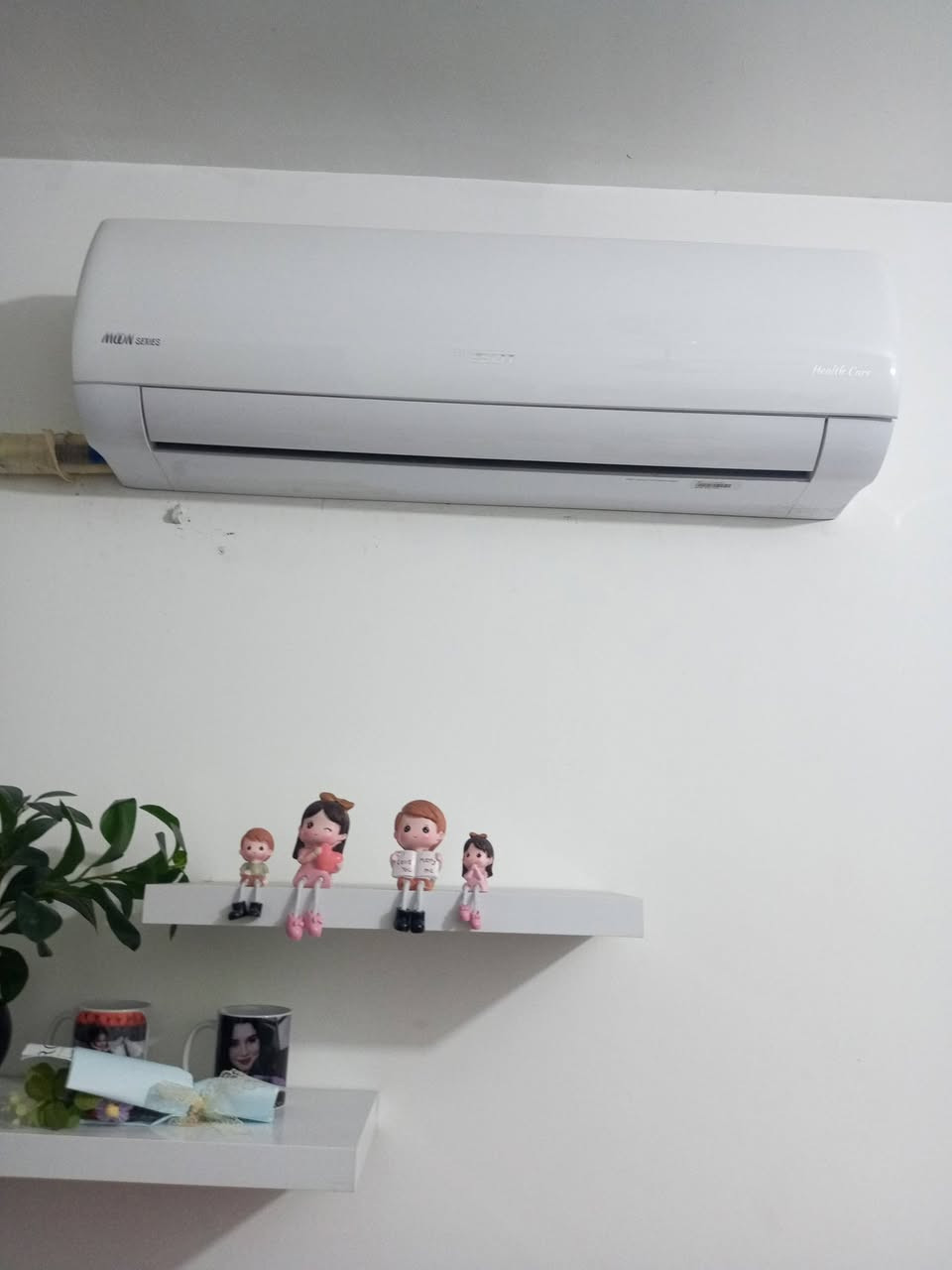 سبلت عدد اثنين
الطن ونص توسوت ب٤٥٠
والطنين ميديا ب٦٠٠ ..بعدهن جدد استخدام موسم واحد وقليل الاستخدام 
العنوان بغداد منطقة الصليخ


**إذا كنت صاحب هذا الإعلان وتريد حذفه لأي سبب، رجاءا أرسل رسالة إلى الدعم الفني**