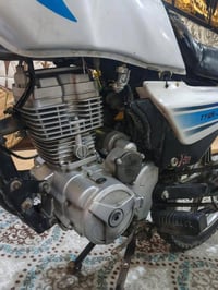 دايون عضم • موديل 18 • أوراق أصولي