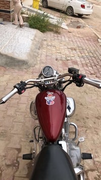 فيراكو • ٤٠٠ • كاردن