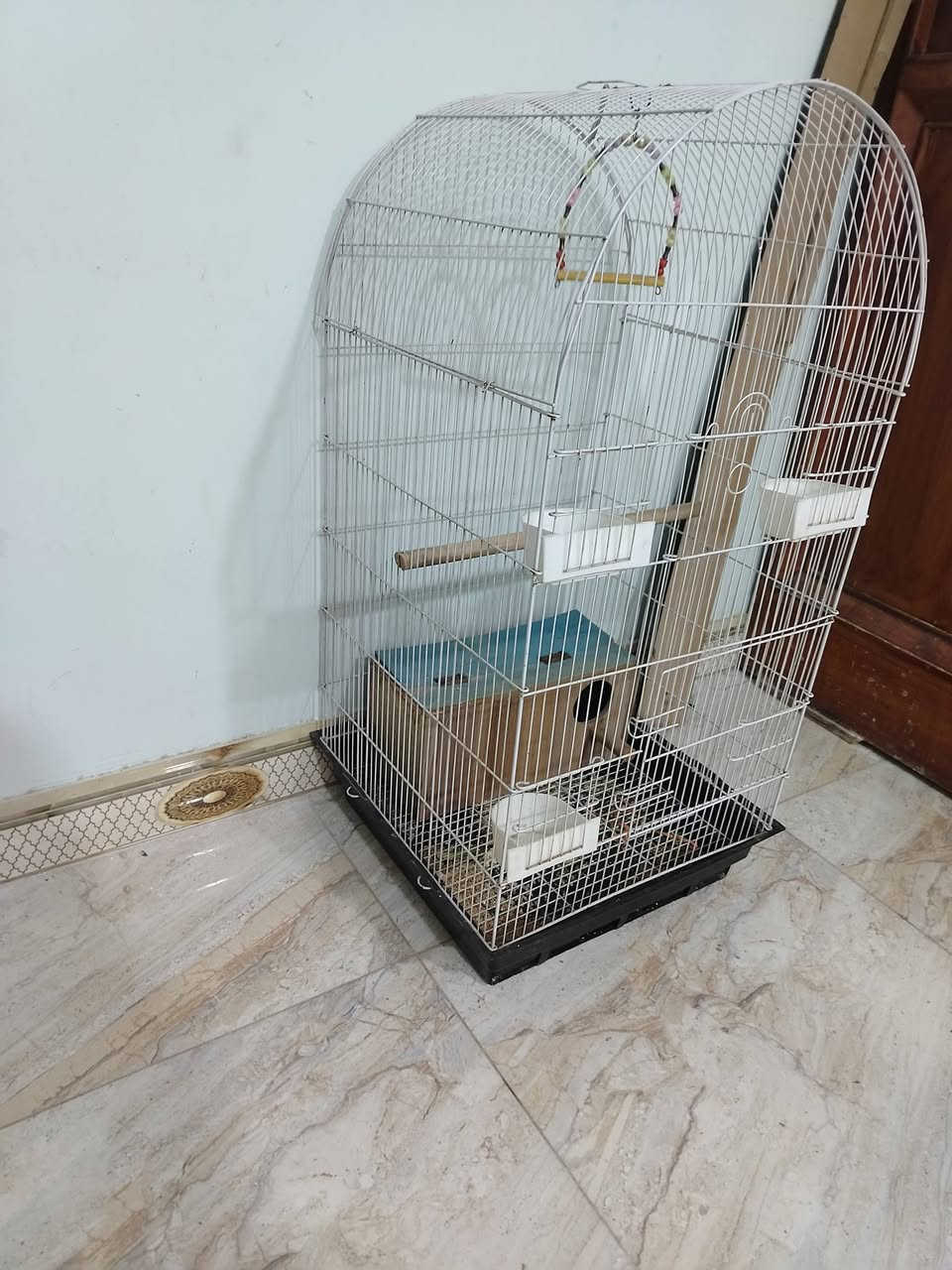 اقفاص كلش نضيفات ثنين بعدهن جدد #لجبير45
والحديد #زغير30 مكاني فلوجه شهداء قرب ابو نسوره ***********              ***********
