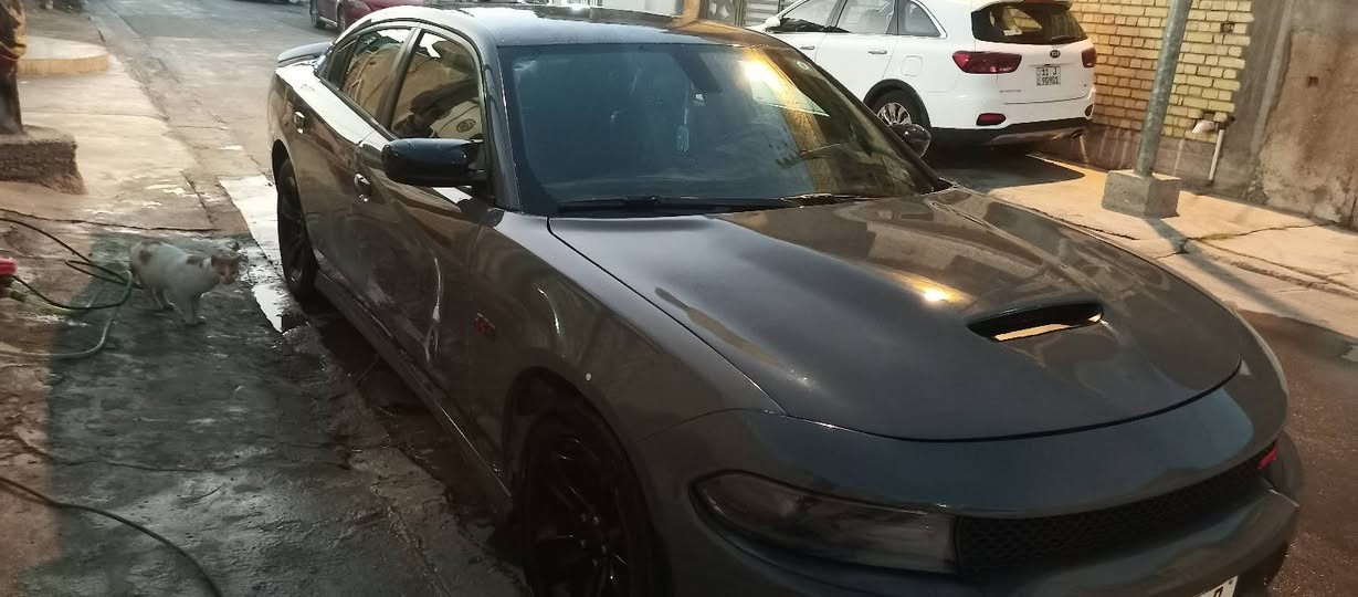 السلام عليكم جارجر هيمي RT بوليسي موديل 2019 كير تعليق 1000 السيارة مصبوغه عام تغير لون اسمنتي ضربتها بابين من  جهه السايق السيارة كاملة من كلشي ترايك وين متريد الصدر جديد 100% المكينه حجم 5.7 هزه جديدة ورقم انكليزي وسنويتها لل2030 عليها شكل SRT مفتوحة الفصلة شكد ما تريد تمشي
السعر 158 وبيها مجال 
للاستفسار ***********
