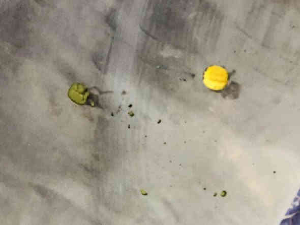 السلام عليكم ديوان ٩مقاعد 6امتار  ونص للبيع نضيف مابي عيب فقط هاي الي  موضحات  بل صوره زروف سعر 100وبي مجال مكاني كركوك حي النداء اتصال على الرقم ***********
