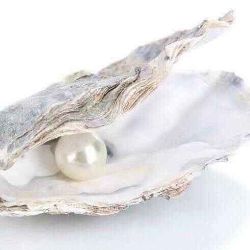 #قلادة اللؤلؤة محار طبيعي وليس صناعي 🦪🌟

قلادة اللؤلؤة الطبيعية أهدي من تحب هدية مختلفة من الطبيعة 100% ✔️🦪

حاير بختارك لهدية ؟ وتريد شي غريب ؟ 
لتحير وية قلادة اللؤلؤة 🦪😍

الحلو البيها انو أنت تستخرج اللؤلؤة بيدك فكرة تجنن 😍

عبارة عن علبة بدخلها محارة بداخل المحارة لؤلؤة 🐚🦪🦪
بعد مطلعون اللؤلؤة من المحارة
تخلوها بداخل القلادة 🐚🤍

بكج متكون من محارة حقيقة مستخرجة من البحار بداخلهة لؤلؤة + قلادة 🦪🤩🐚

هدية روعة تهديها🦪 لمن تحب 🤭😍♥️

السعر البكج كامل 10  الاف فقط 😊

🚘يوجد خدمة توصيل لجميع محافظات العراق ٤ الاف🚘 بغداد, العراق


**إذا كنت صاحب هذا الإعلان وتريد حذفه لأي سبب، رجاءا أرسل رسالة إلى الدعم الفني**