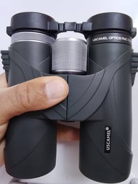 ناظور نهاري • فول