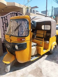 تكتك 2018 نهاية /2019 اوراق معمرة جديدة تكتك خير من الله تجي وشوف مكان...