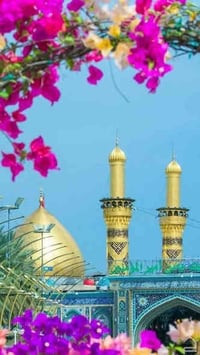 كربلاء المقدسه • انطلاق 10ص • الديوانية